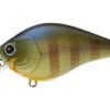 Lucky Craft FAT BDS 2 Crankbait