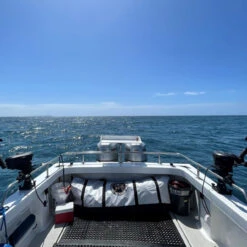 Pitbull Tackle HD Game Bag Cooler 7 Pitbull Tackle HD Game Bag Cooler -Fishing Promotion Store kb5 37836.1665442405