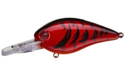 Strike King KVD 1.5 Deep Squarebill Crankbait