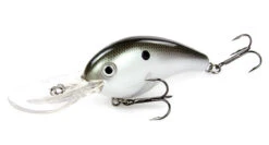 Strike King 10XD Crankbait -Fishing Promotion Store strikeking 10xd crankbait 2 69602.1628118194