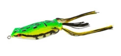 Zoom Hollow Belly Frog
